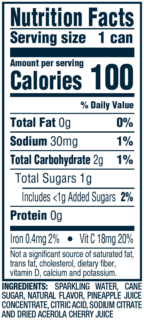 Home Vizzy Hard Seltzer