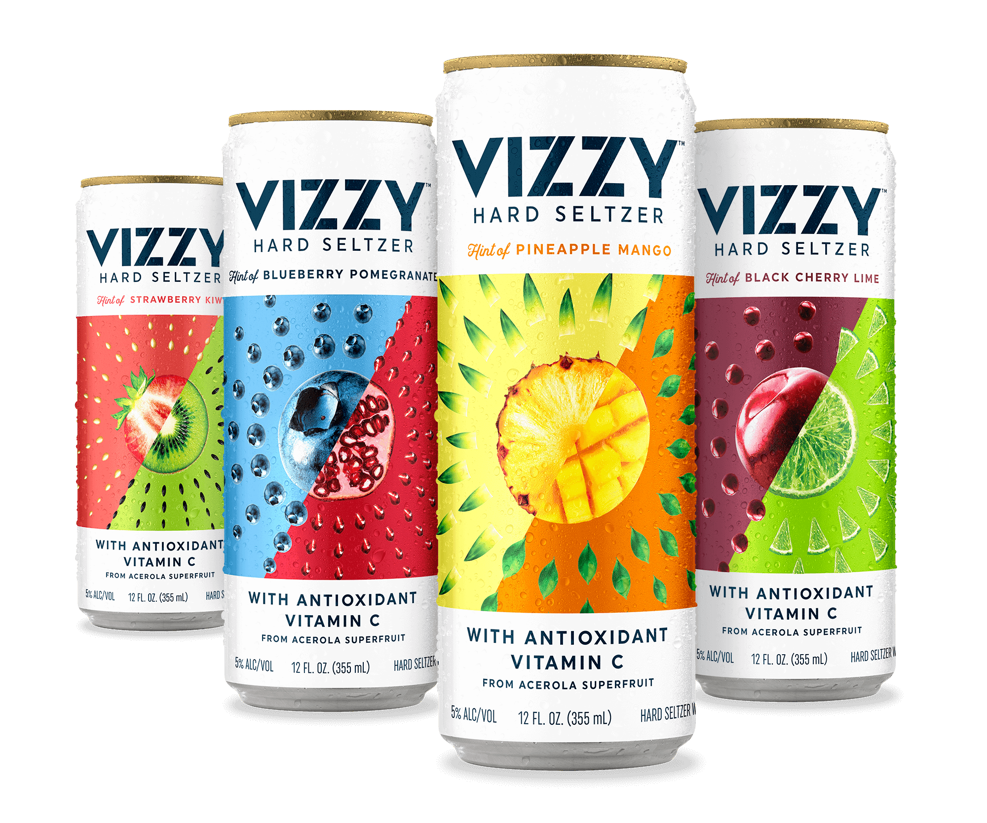 Home Vizzy Hard Seltzer