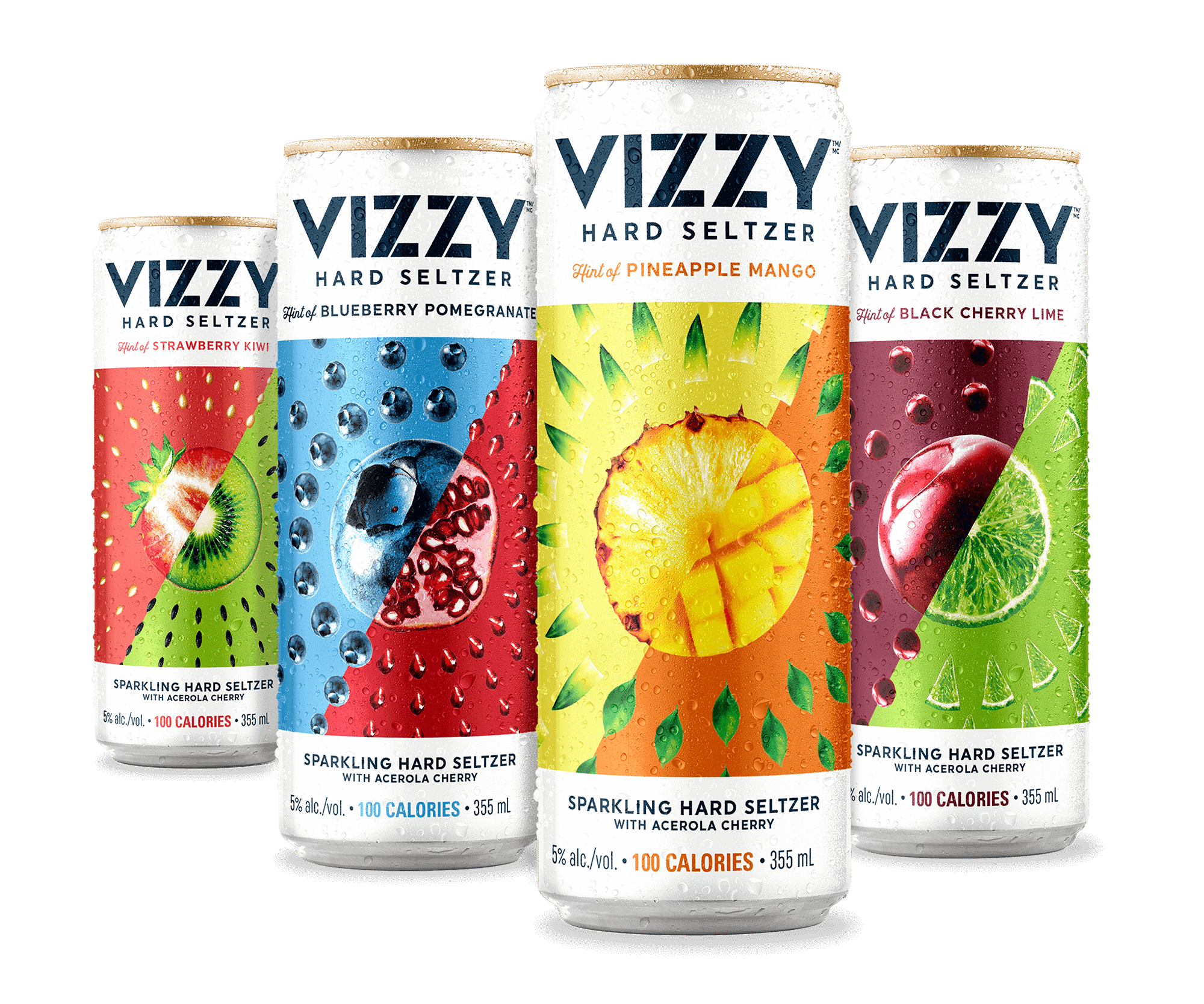 Vizzy Variety Cans