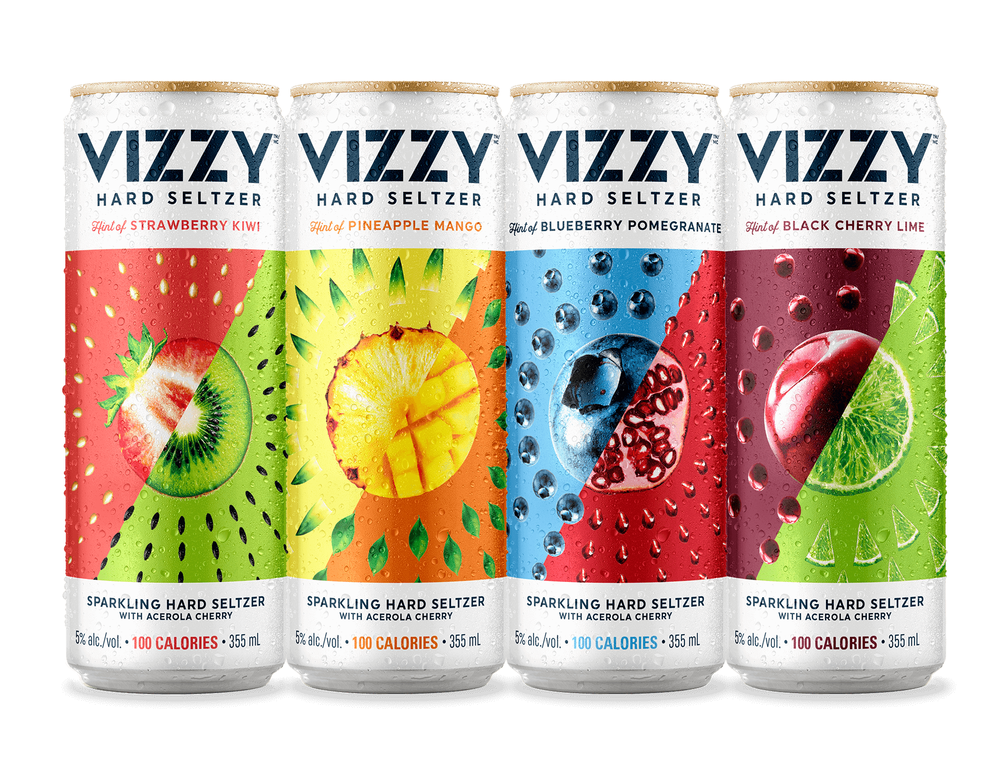 Age Verification Vizzy Hard Seltzer