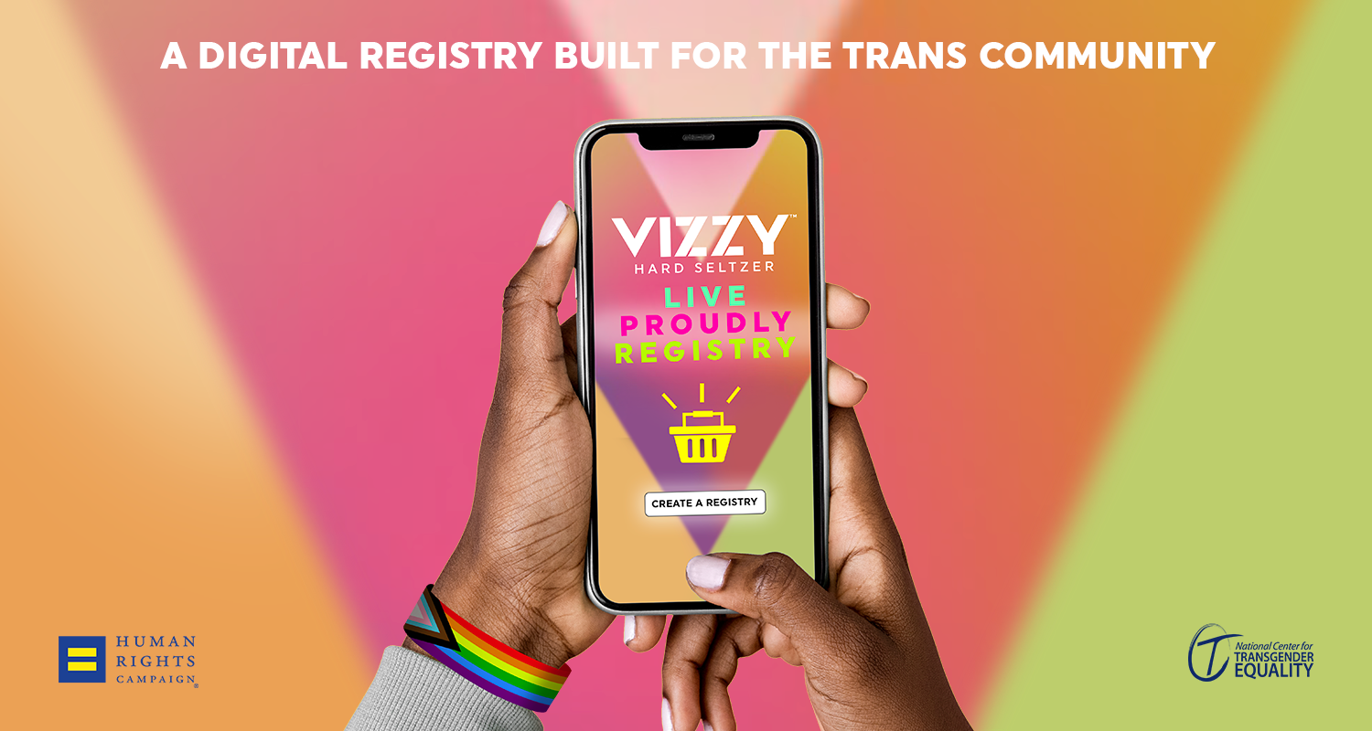 Vizzy pride hero